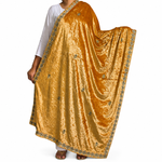Kashmiri Velvet Shawl with Zari Work